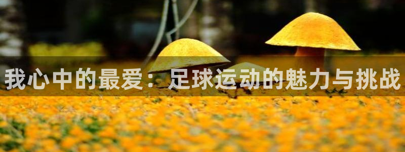 JJB竞技宝官网下载平台是正规平台吗：我心中的最爱：足球运动