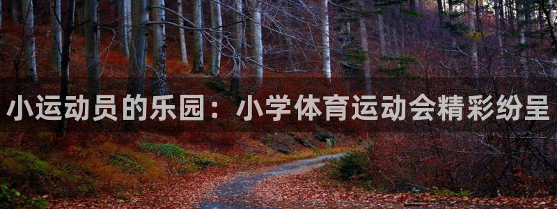 JJB竞技宝官网下载招商电话：小运动员的乐园：小学体