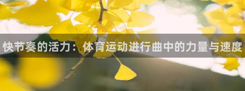海南JJB竞技宝官网下载发展怎么样：快节奏的活力：体