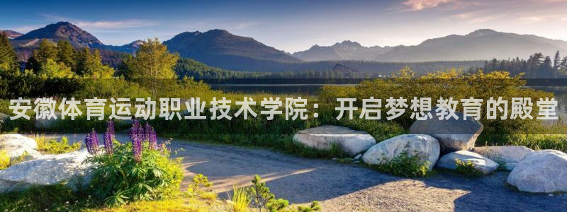 JJB竞技宝官网下载平台假的吗是真的吗吗：安徽体育运