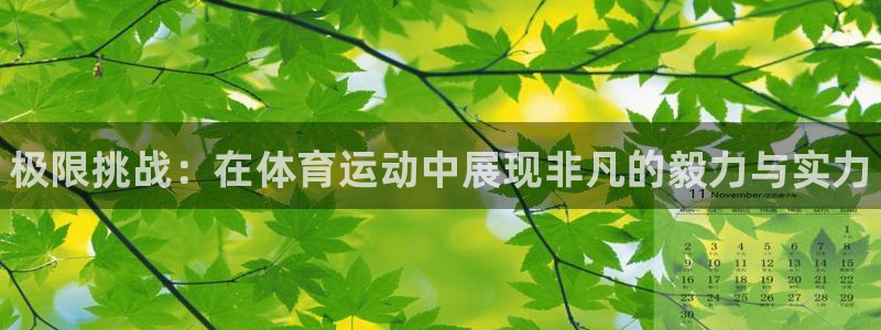 JJB竞技宝官网下载招商电话号码查询：极限挑战：在体