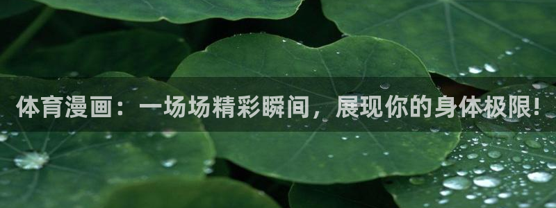 海南JJB竞技宝官网下载发展怎么样：体育漫画：一场场精彩瞬间