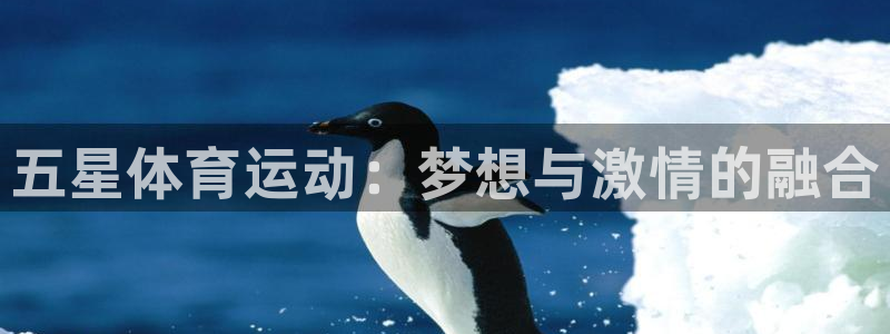 JJB竞技宝官网下载招商电话号码查询：五星体育运动：