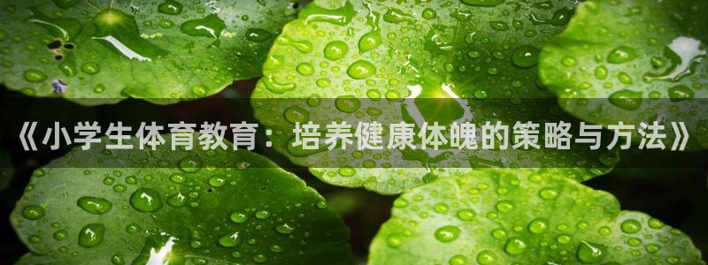 JJB竞技宝官网下载注册：《小学生体育教育：培养健康