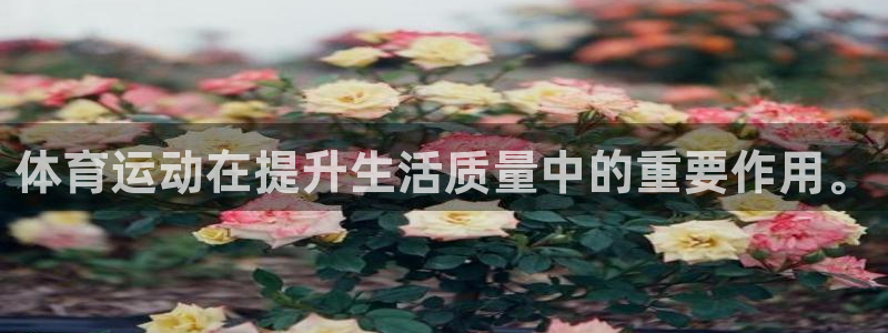 JJB竞技宝官网下载平台注册流程图：体育运动在提升生