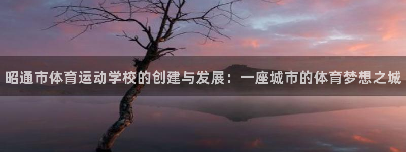 JJB竞技宝官方平台体育：昭通市体育运动学校的创建与