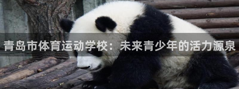 JJB竞技宝官方正版app代理：青岛市体育运动学校：