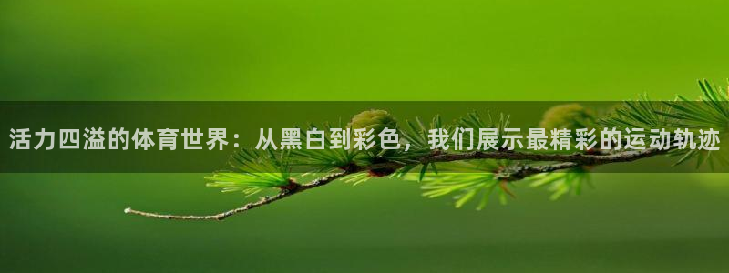 JJB竞技宝官网下载平台APP：活力四溢的体育世界：