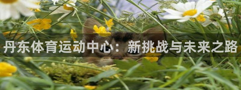 JJB竞技宝官方正版app娱乐网站：丹东体育运动中心