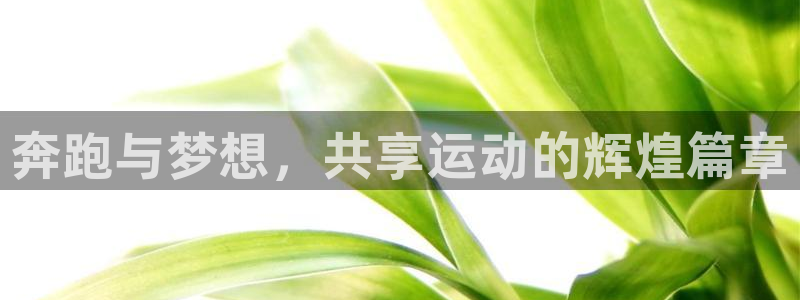 JJB竞技宝官方正版app集团E.ON：奔跑与梦想，