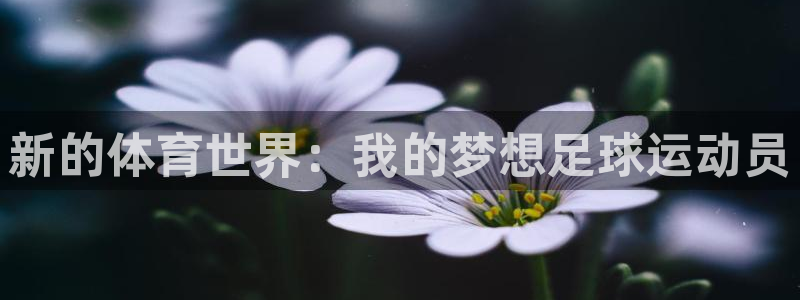 JJB竞技宝官方正版app集团：新的体育世界：我的梦想足球运