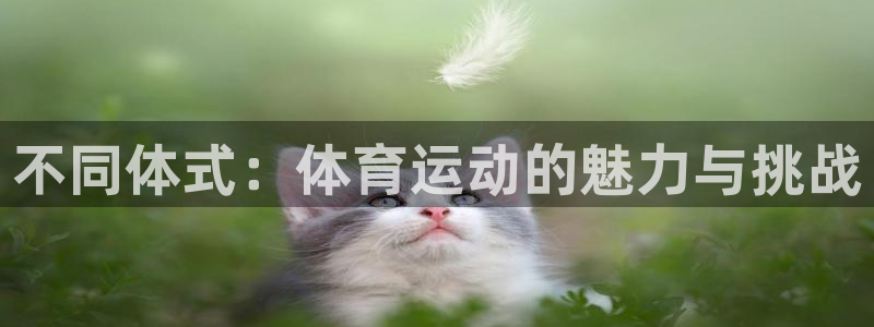 JJB竞技宝官方正版app集团官网首页：不同体式：体育运动的