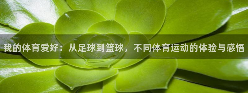 JJB竞技宝官网下载招商电话号码是多少啊：我的体育爱