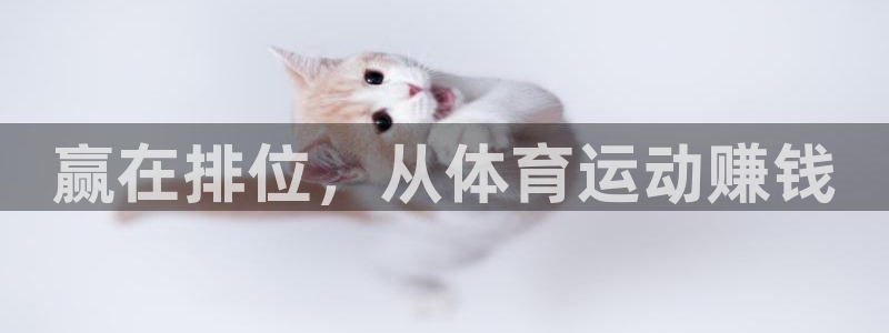 JJB竞技宝官方正版app集团：赢在排位，从体育运动赚钱